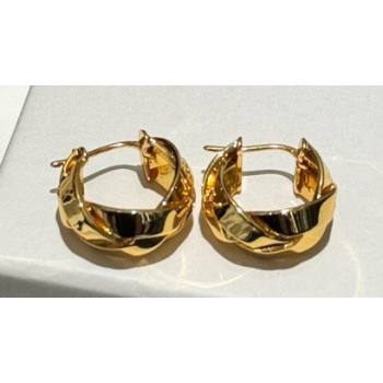 Loewe Earrings 03 2024 (YF-240318c43)