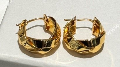 Loewe Earrings 03 2024 (YF-240318c43)