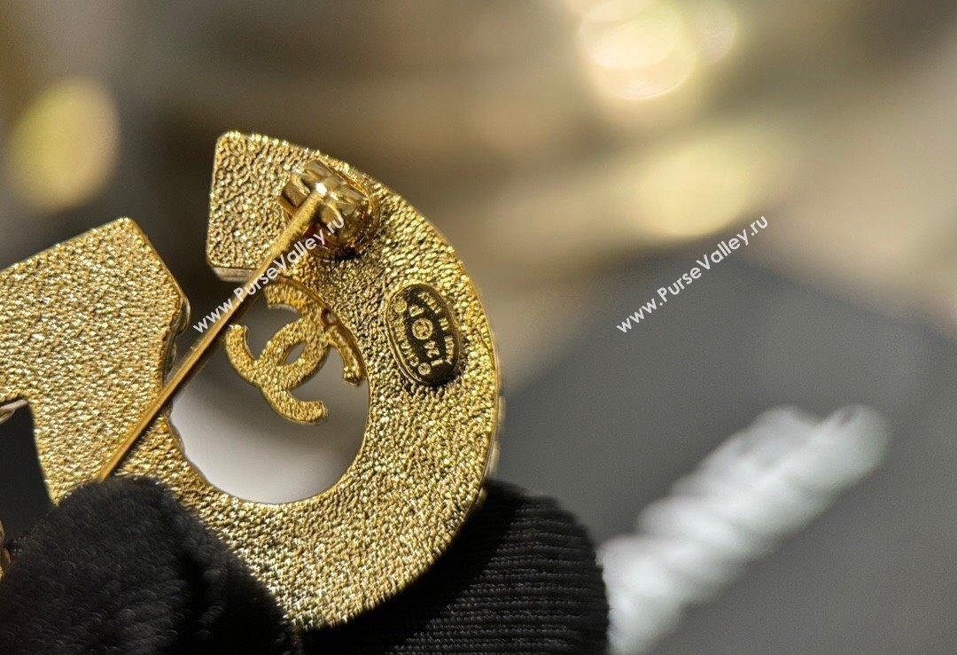 Chanel Brooch 06 2024 (YF-240318c26)