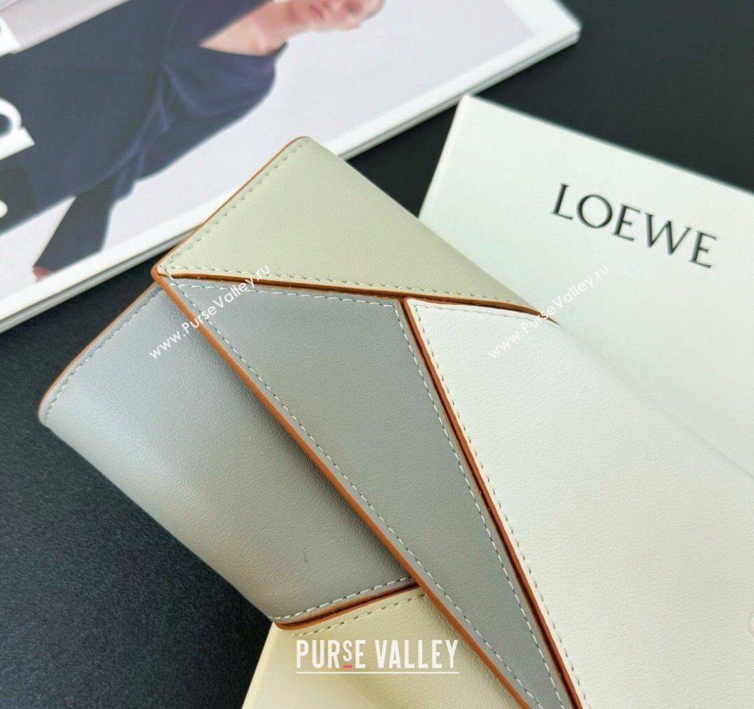 Loewe Puzzle long horizontal wallet in classic calfskin 04 (hongyun-24032014)