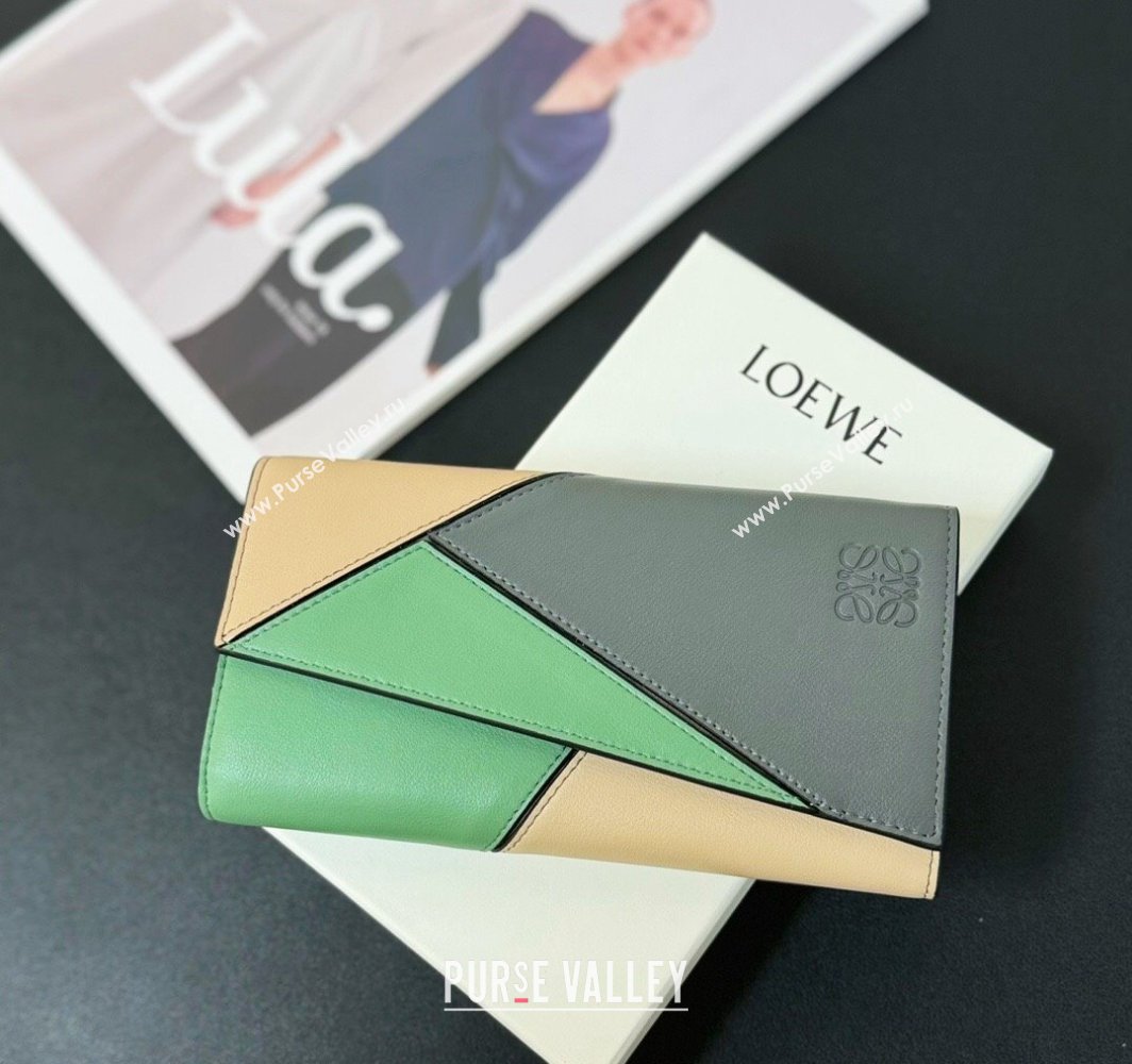 Loewe Puzzle long horizontal wallet in classic calfskin 05 (hongyun-24032015)