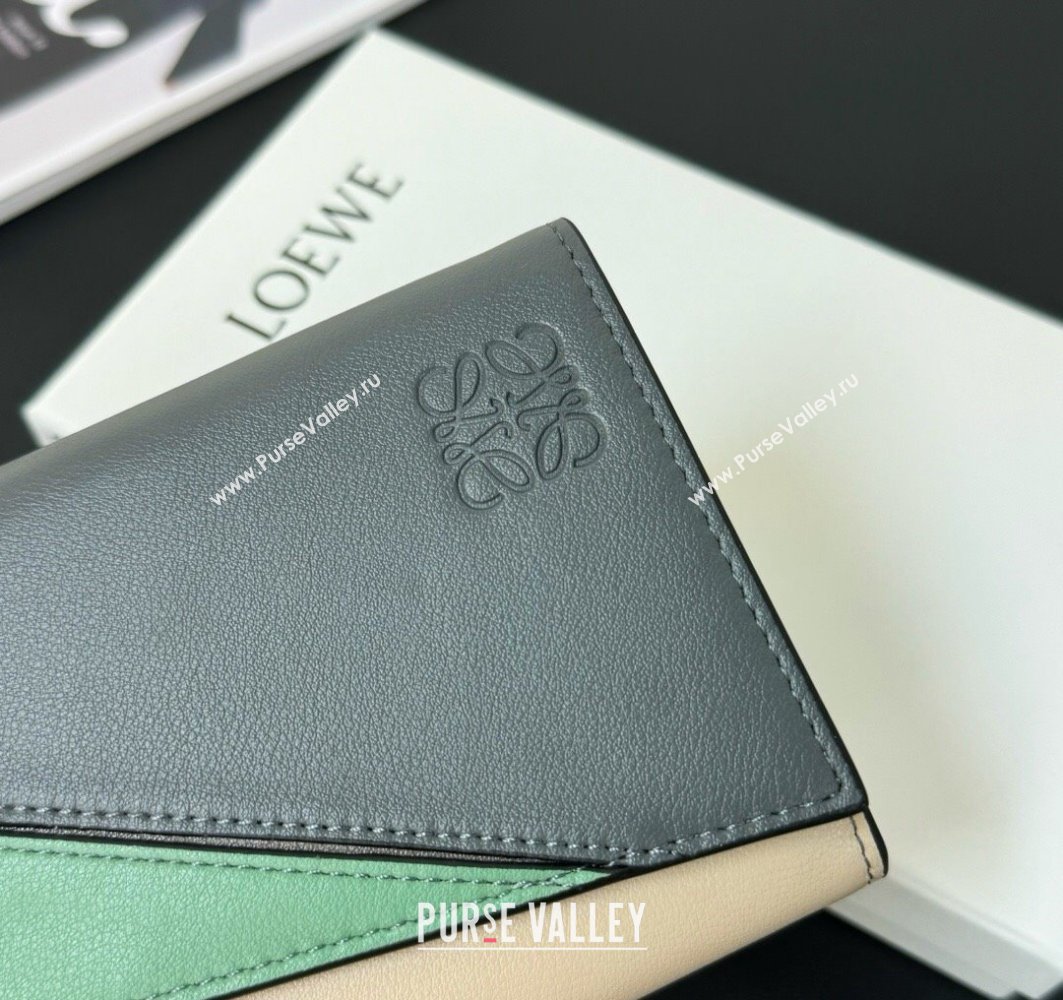 Loewe Puzzle long horizontal wallet in classic calfskin 05 (hongyun-24032015)