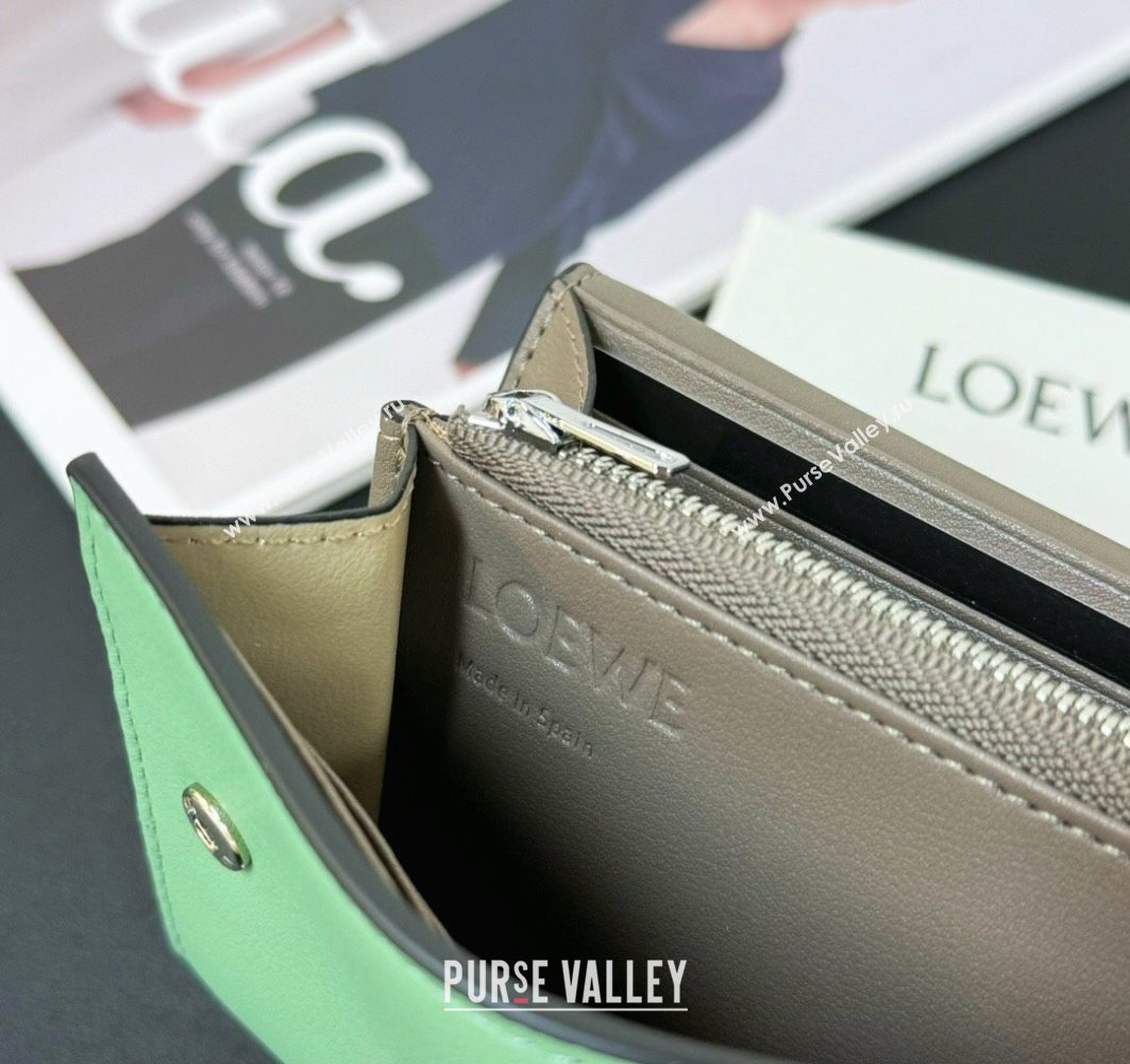 Loewe Puzzle long horizontal wallet in classic calfskin 05 (hongyun-24032015)