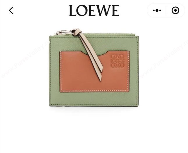 Loewe Large coin cardholder in soft grained calfskin Green (hongyun-24032028)