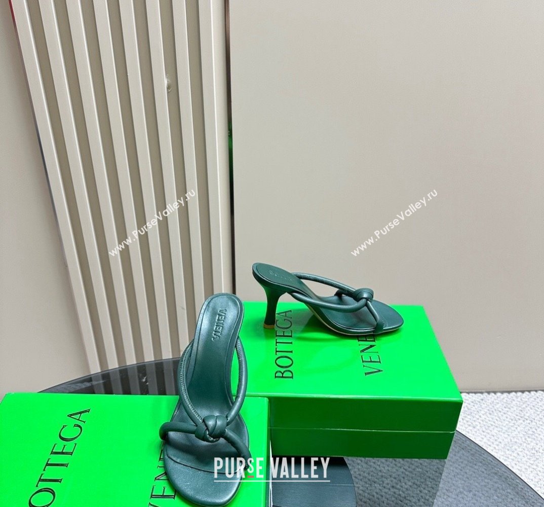 Bottega Veneta Heel 8.5cm Tubular leather Blink Mules Dark Green 2024 (modeng-24032663)