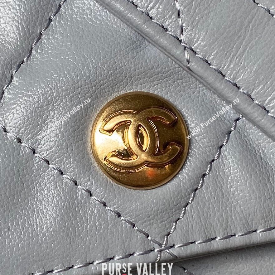 Chanel Shiny Calfskin Gold-Tone Metal Large Hobo Bag AS4668 Gray 2024 (jiyuan-24032730)