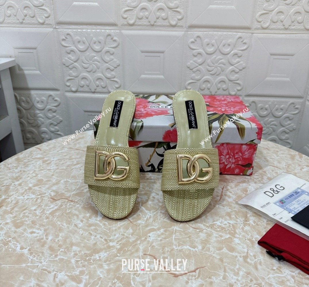 Dolce Gabbana Raffia sliders Light Green 2024 (modeng-24032838)