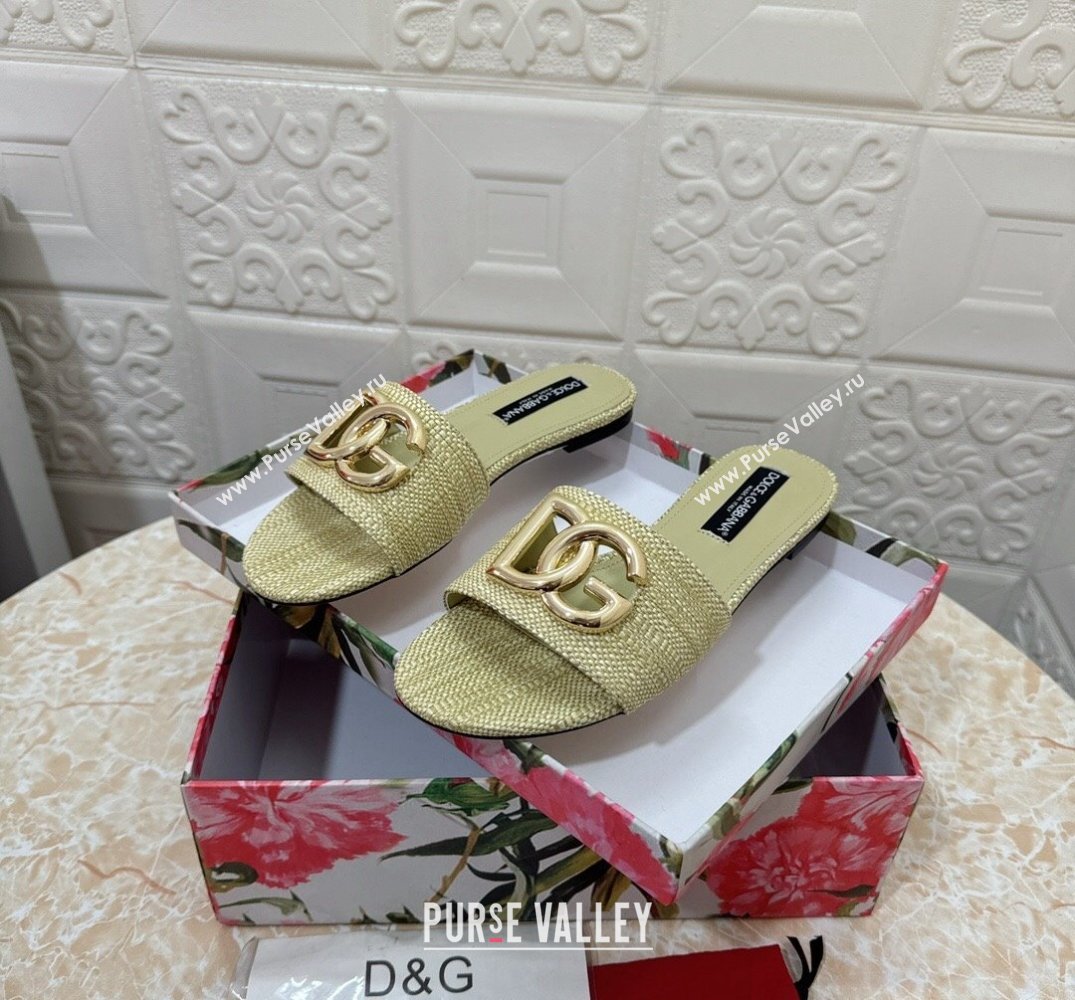 Dolce Gabbana Raffia sliders Light Green 2024 (modeng-24032838)