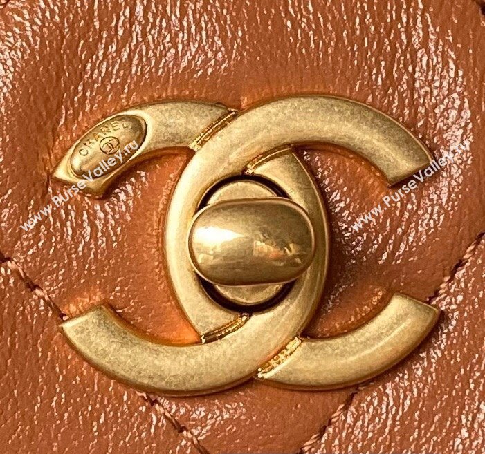 Chanel Shiny Calfskin Gold-Tone Metal Hobo Handbag AS4743 Brown 2024 (jiyuan-24032732)