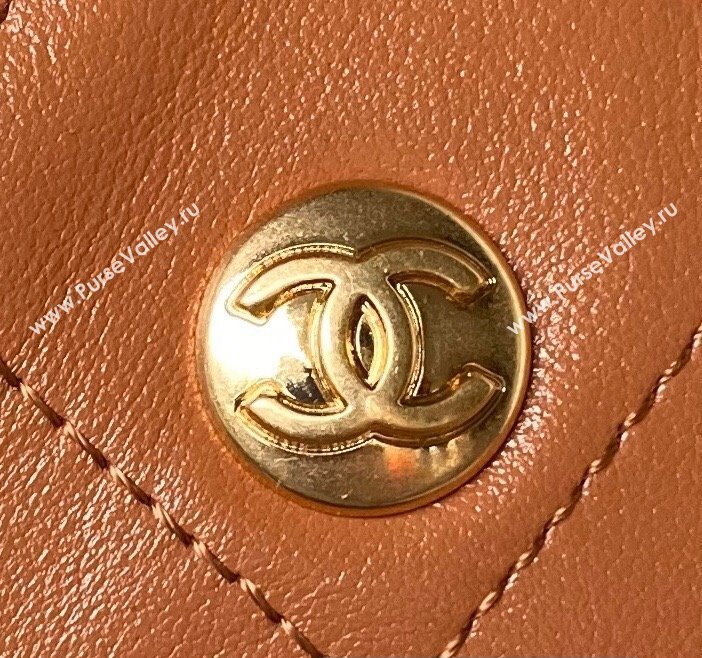 Chanel Shiny Calfskin Gold-Tone Metal Hobo Handbag AS4743 Brown 2024 (jiyuan-24032732)