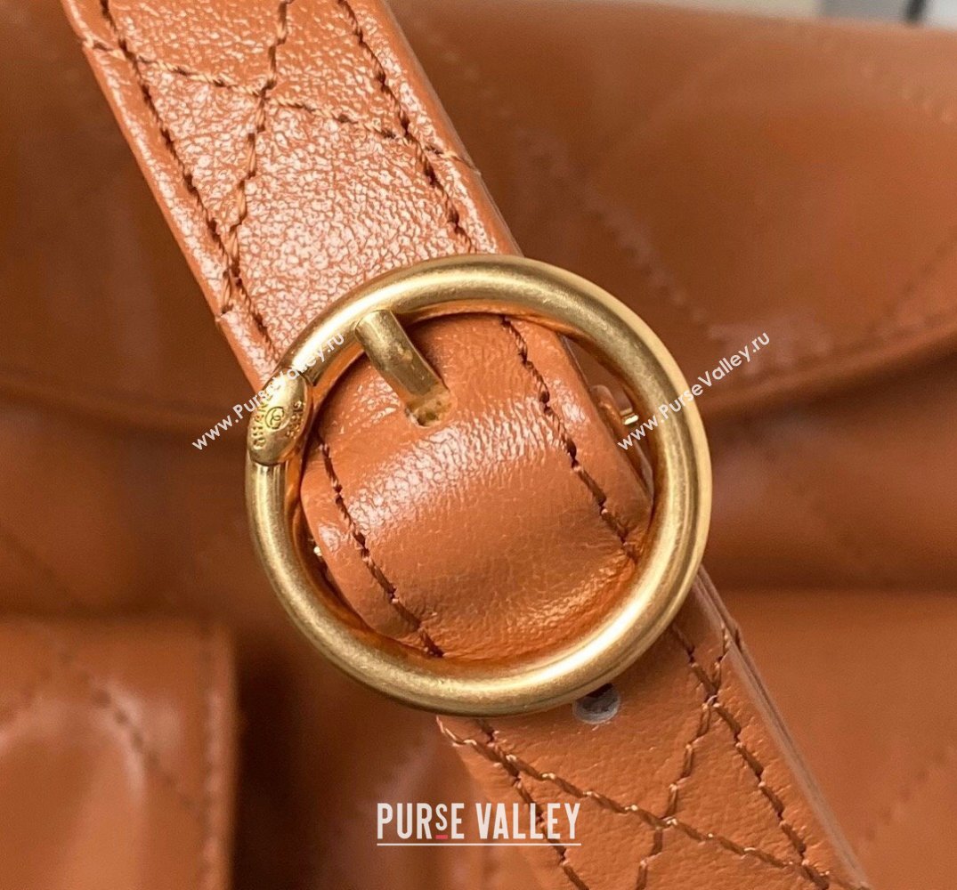 Chanel Shiny Calfskin Gold-Tone Metal Hobo Handbag AS4743 Brown 2024 (jiyuan-24032732)