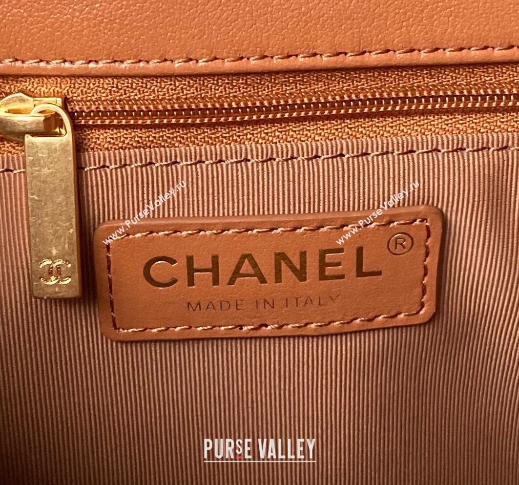 Chanel Shiny Calfskin Gold-Tone Metal Hobo Handbag AS4743 Brown 2024 (jiyuan-24032732)