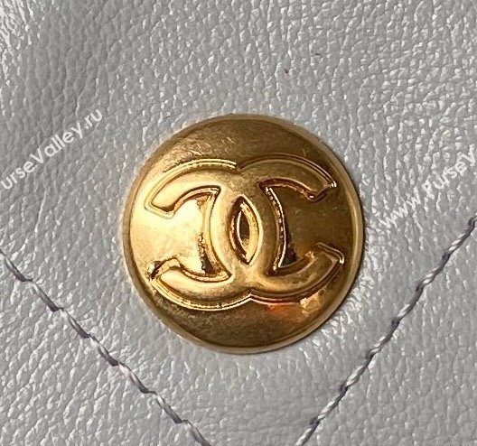 Chanel Shiny Calfskin Gold-Tone Metal Hobo Handbag AS4743 Gray 2024 (jiyuan-24032733)