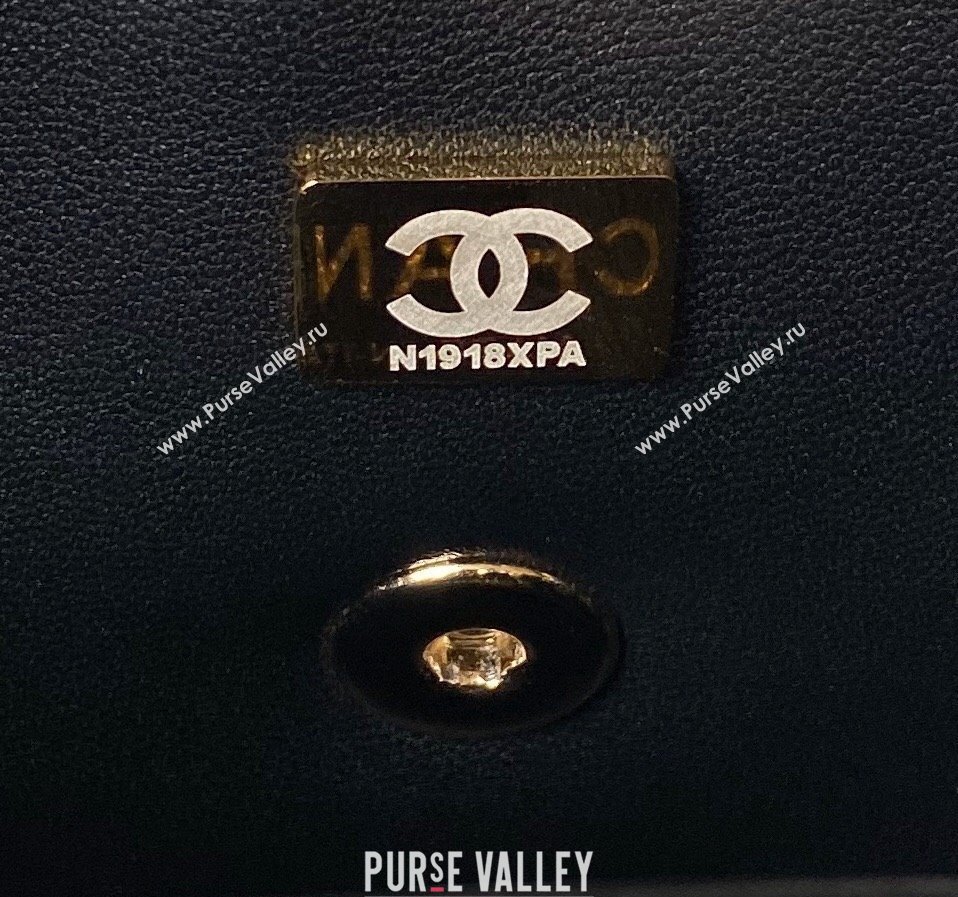 Chanel Calfskin Gold-Tone Metal Flap Bag With Top Handle AS4544 Black 2024 (jiyuan-24032722)