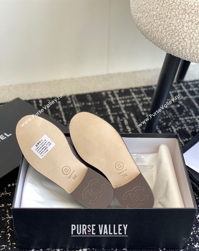 Chanel Calfskin Moccasins G45504 Coffee 2024 (jincheng-24032839)