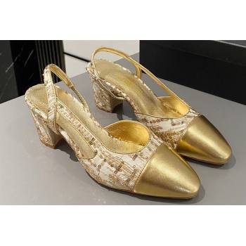 Chanel Heel 6.5cm Slingbacks G31318 Tweed Sequins Gold 2024 (modeng-24040202)