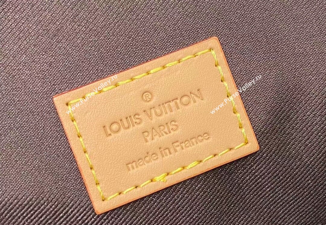 Louis Vuitton Monogram Craggy Canvas Christopher MM Bag M25240 Vanilla 2024 (kiki-24040123)