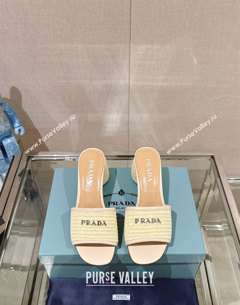 Prada Heel Woven Raffia Slide Sandals Creamy 2024 (modeng-24040340)