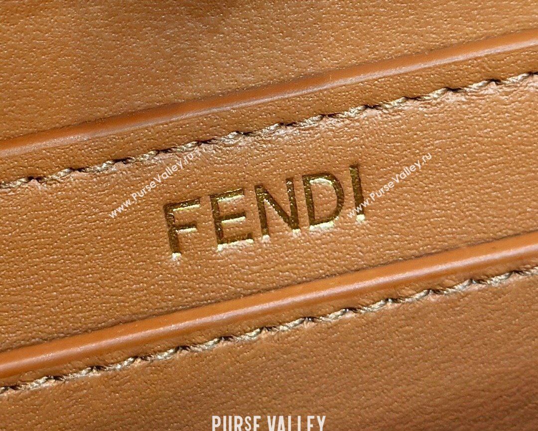 Fendi Peekaboo ISeeU Petite Bag in nappa Leather Brown 2024 (chaoliu-24041002)