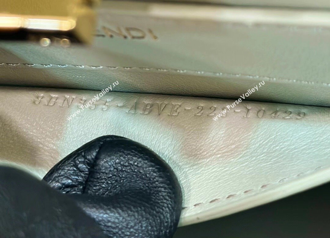 Fendi Peekaboo ISeeU Petite Bag in nappa Leather Pale Green 2024 (chaoliu-24041005)