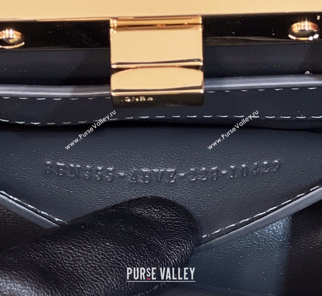 Fendi Peekaboo ISeeU Petite Bag in nappa Leather Black 2024 (chaoliu-24041007)