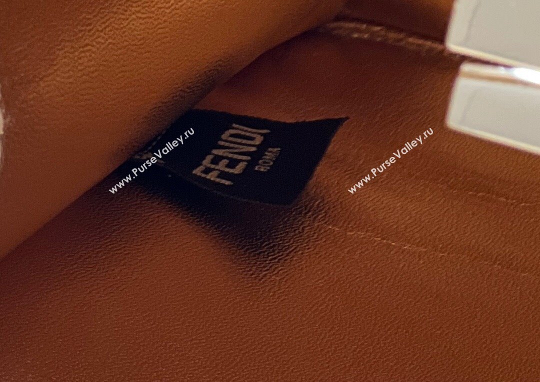 Fendi Peekaboo ISeeU Small Bag in nappa Leather Gold 2024 (chaoliu-24040961)