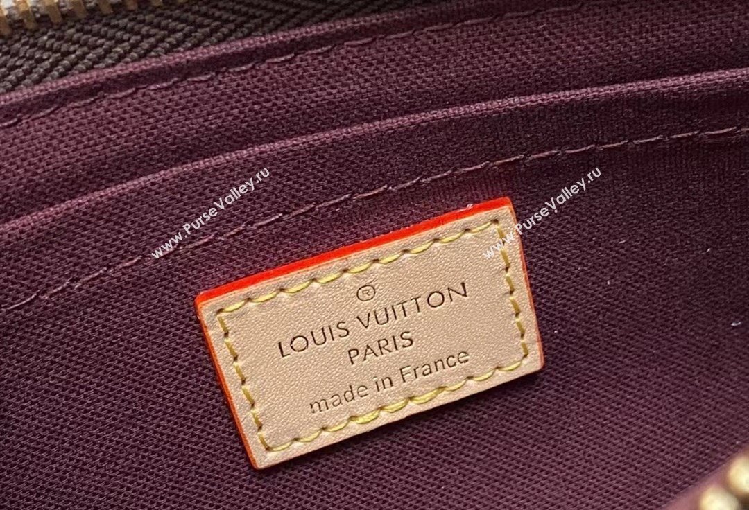 Louis Vuitton Monogram Canvas Vibe bag M46999 2024 (kiki-24041112)