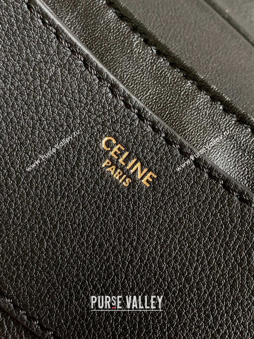 Celine MEDIUM POLLY BAG in SUPPLE CALFSKIN Black 2024 (SHANGPIN-240416-12)