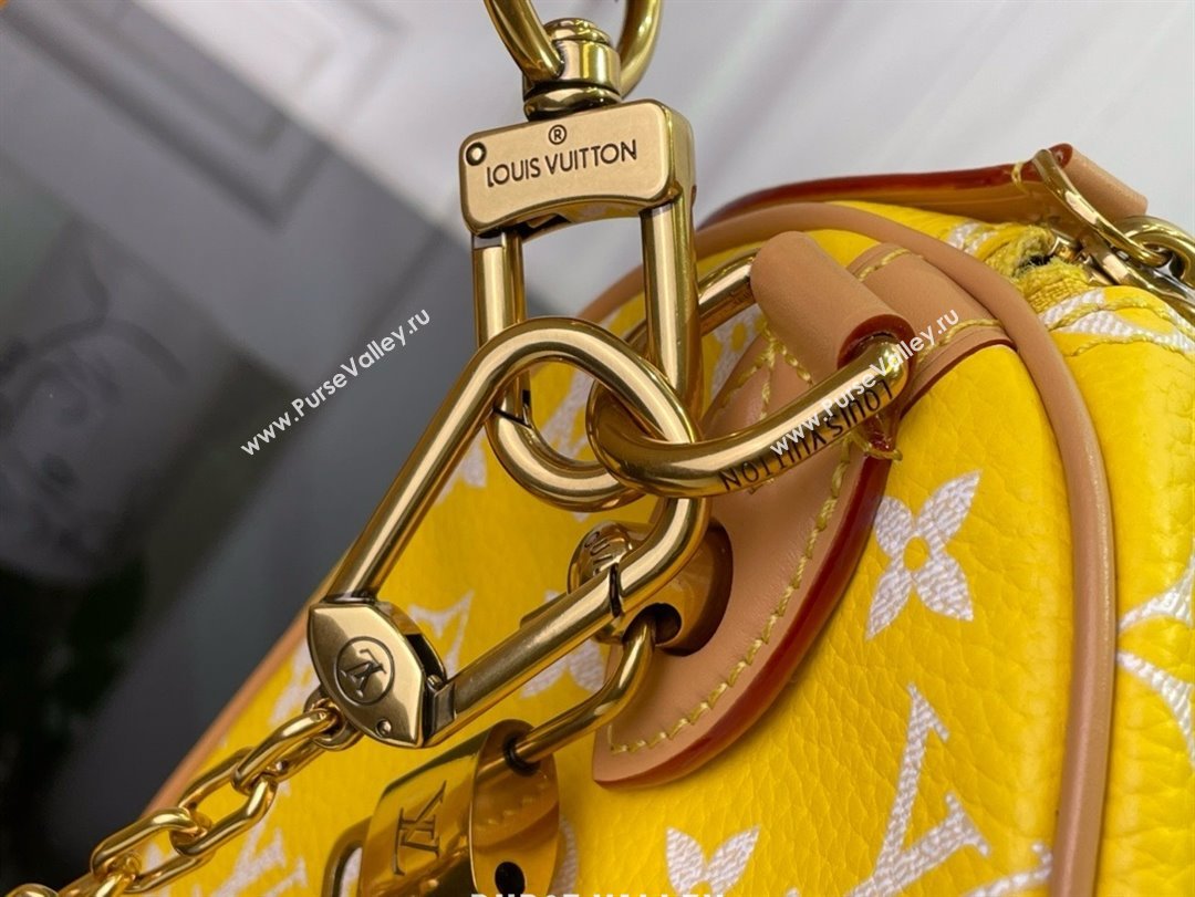 louis vuitton Speedy Bandoulière 25 bag M24426 2024 (kiki-240123-04)