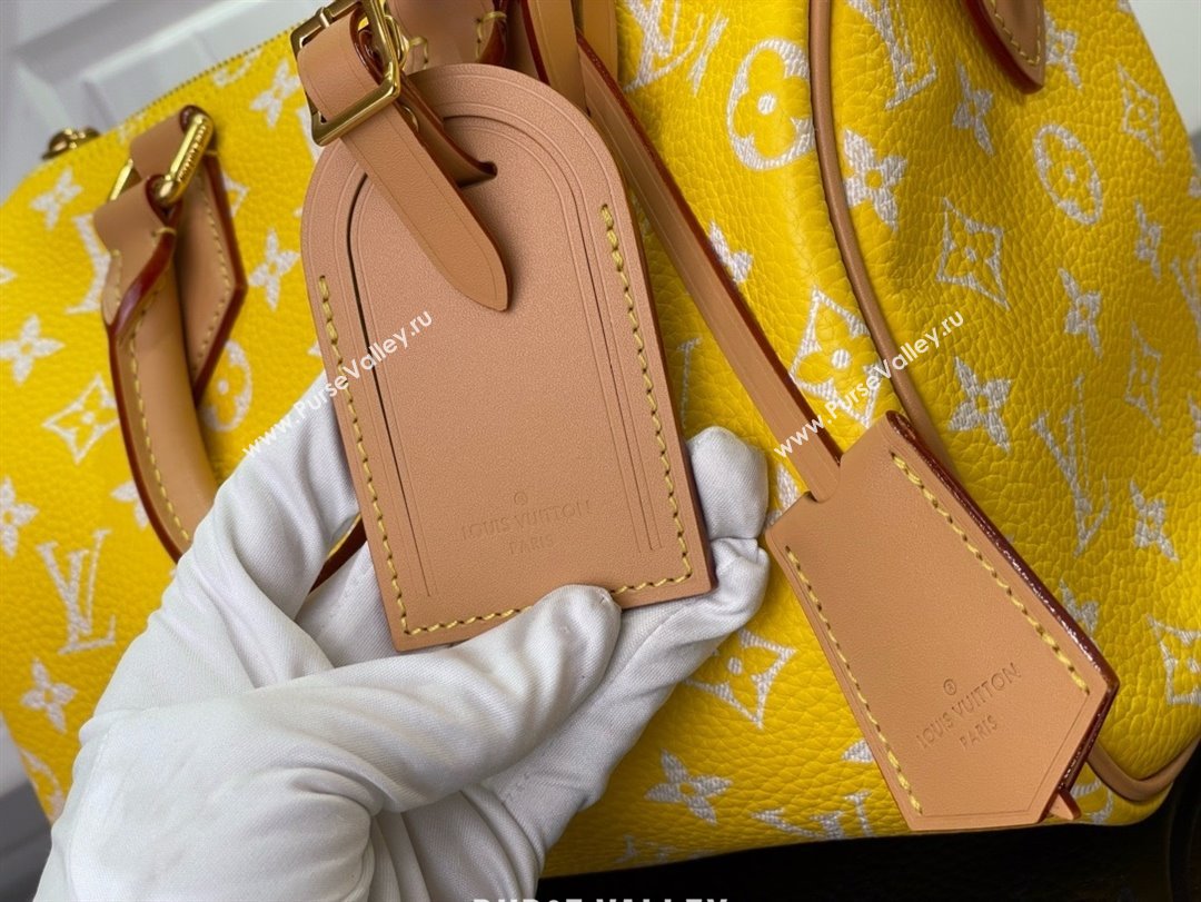 louis vuitton Speedy Bandoulière 25 bag M24426 2024 (kiki-240123-04)