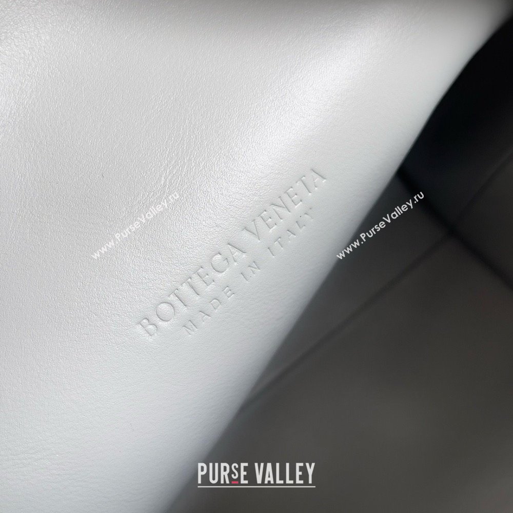 Bottega Veneta Small Loop Camera Bag Agate grey / Glacier 2024 (MISU-240123-09)