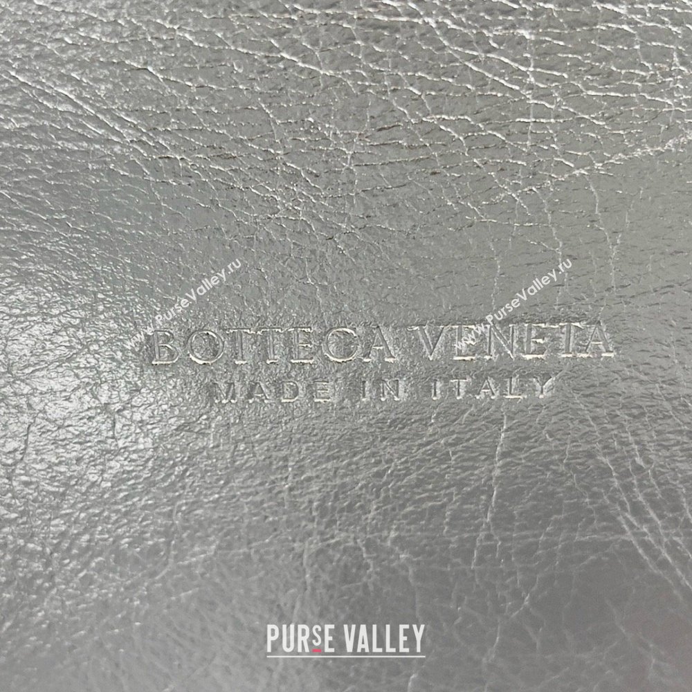 Bottega Veneta Small Loop Camera Bag Silver/gold 2024 (MISU-240123-07)