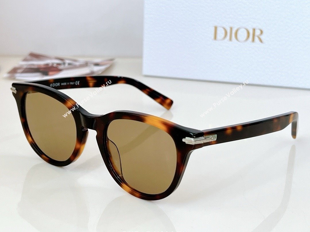 DIOR BLACKSUIT R3I SUNGLASSES 02 2024 (shishang-240419-24)