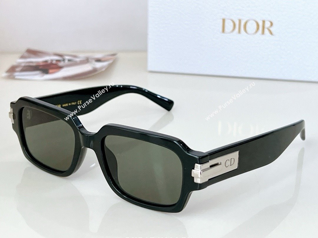 DIOR BLACKSUIT S1I SUNGLASSES 01 2024 (shishang-240419-27)