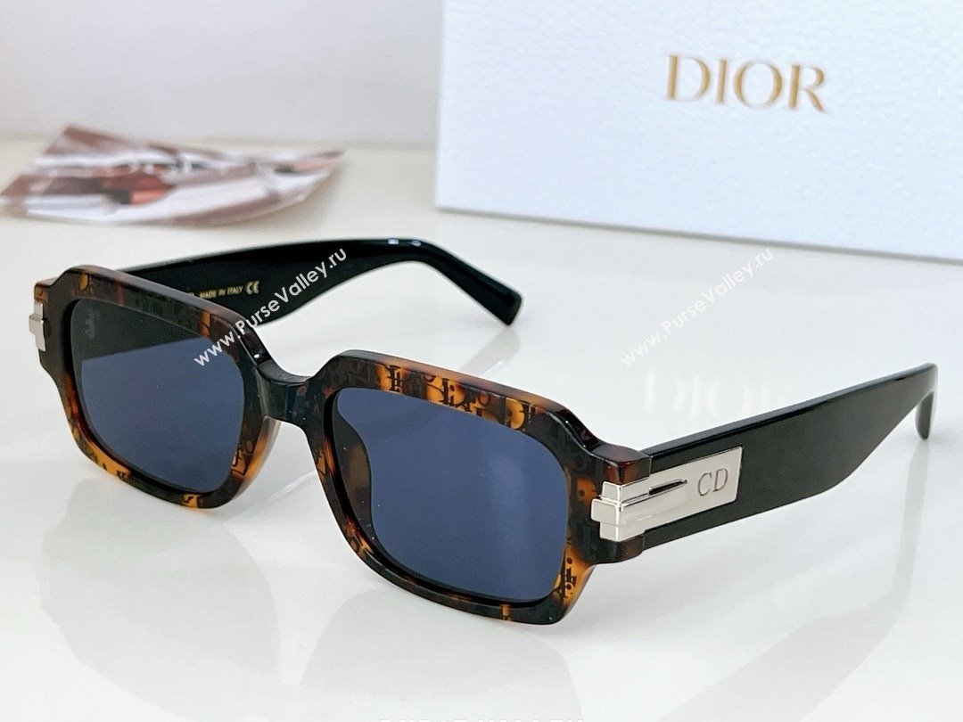 DIOR BLACKSUIT S1I SUNGLASSES 01 2024 (shishang-240419-28)