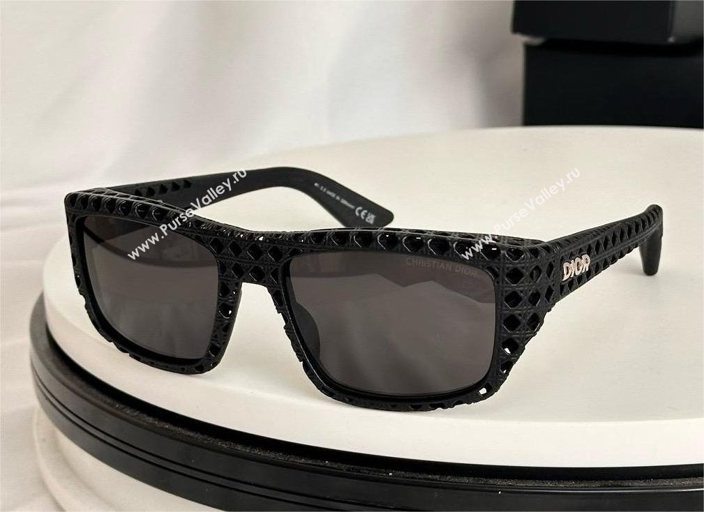 DIOR 3D S1I SUNGLASSES 04 2024 (SHISHANG-240419-04)