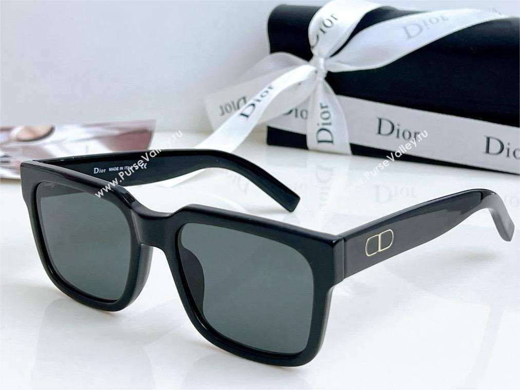 DIOR CD SIU SUNGLASSES 02 2024 (SHISHANG-240419-06)