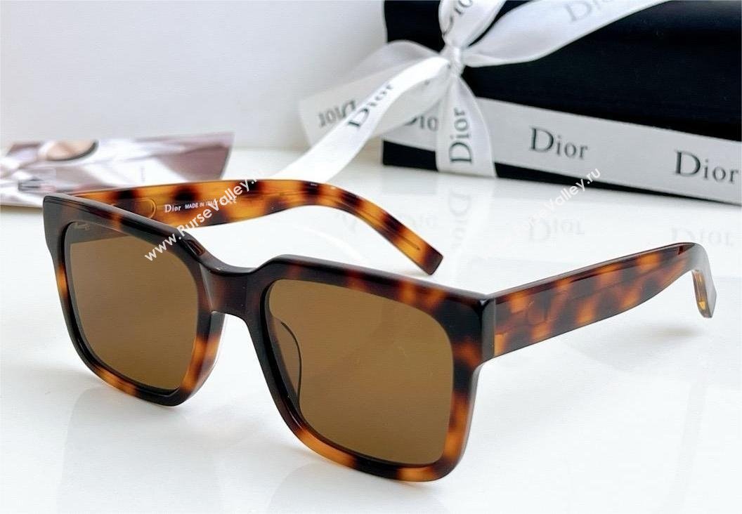 DIOR CD SIU SUNGLASSES 03 2024 (SHISHANG-240419-07)