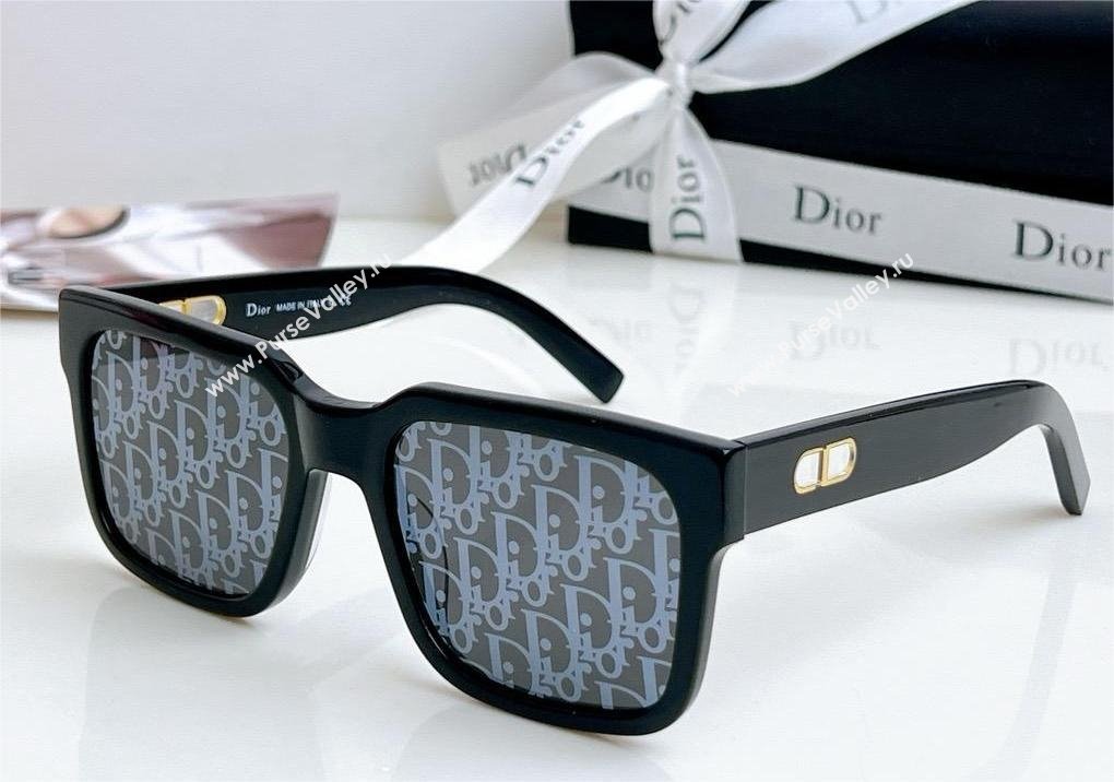 DIOR CD SIU SUNGLASSES 05 2024 (SHISHANG-240419-09)