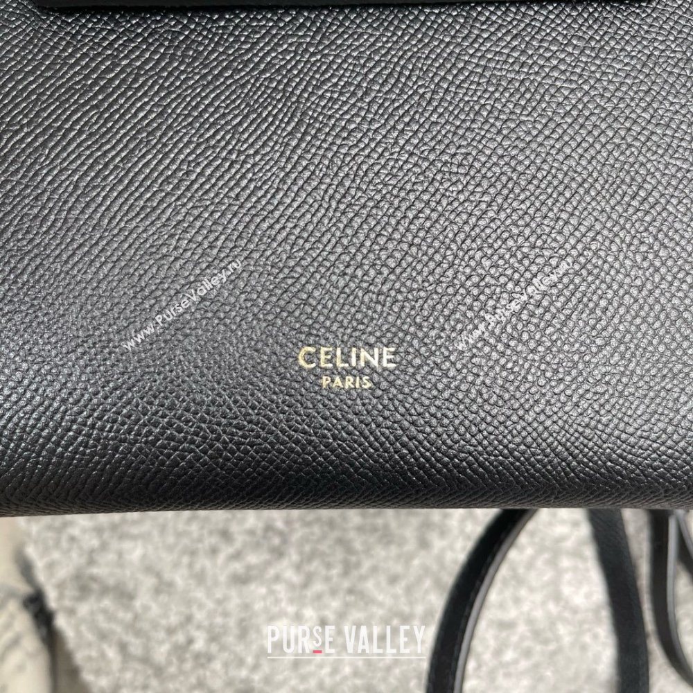 Celine Nano Belt bag in grained calfskin black 2024 (jiangxin-240422-28)