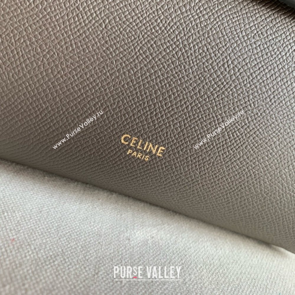 Celine Nano Belt bag in grained calfskin gris etain 2024 (jiangxin-240422-27)