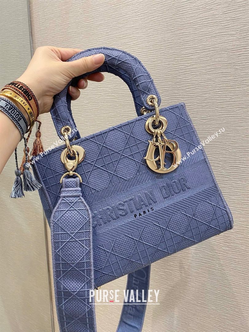 Lady Dior Medium Bag in Embroidered Canvas gray blue 2020 (vivi-201125-b)
