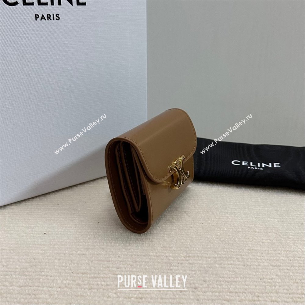 celine Small Wallet TRIOMPHE in Shiny calfskin Bronze 10D783 2023 (baili-231222-03)