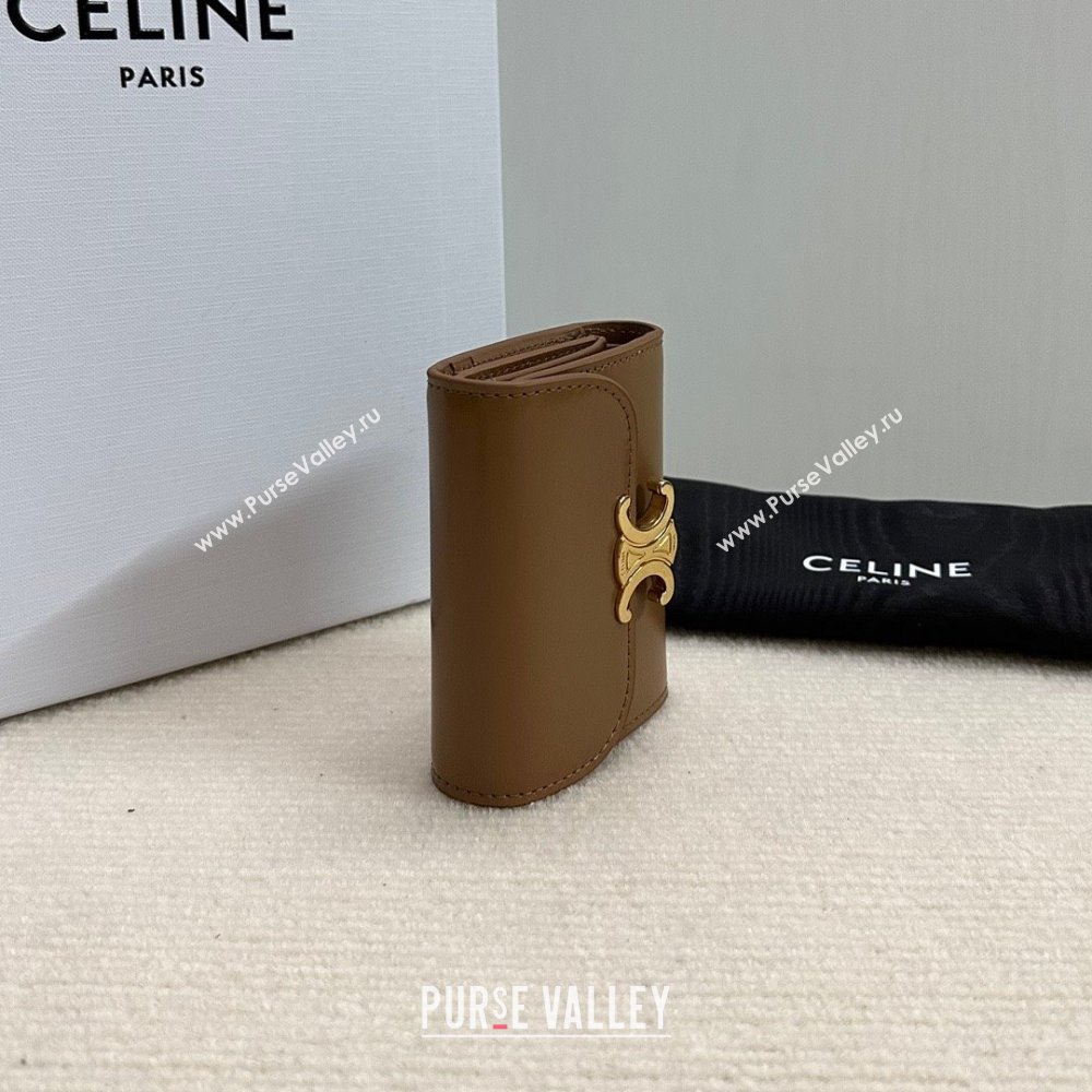 celine Small Wallet TRIOMPHE in Shiny calfskin Bronze 10D783 2023 (baili-231222-03)