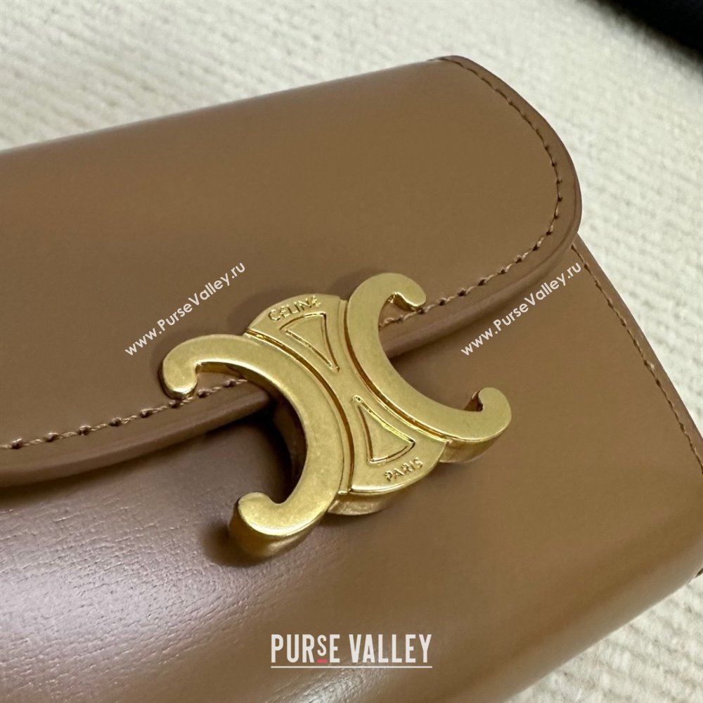 celine Small Wallet TRIOMPHE in Shiny calfskin Bronze 10D783 2023 (baili-231222-03)