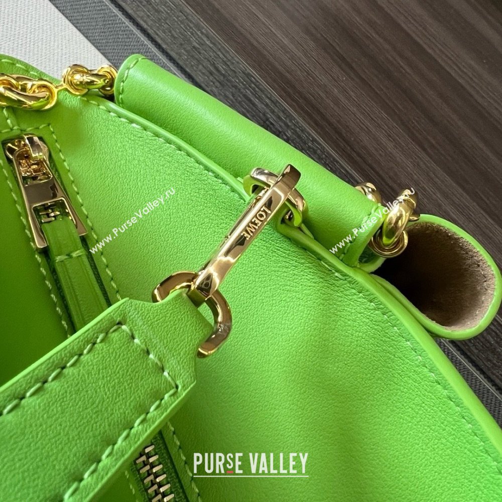 LOEWE Small Paseo bag in shiny nappa calfskin with chain green 2024 (yongsheng-240329-14)