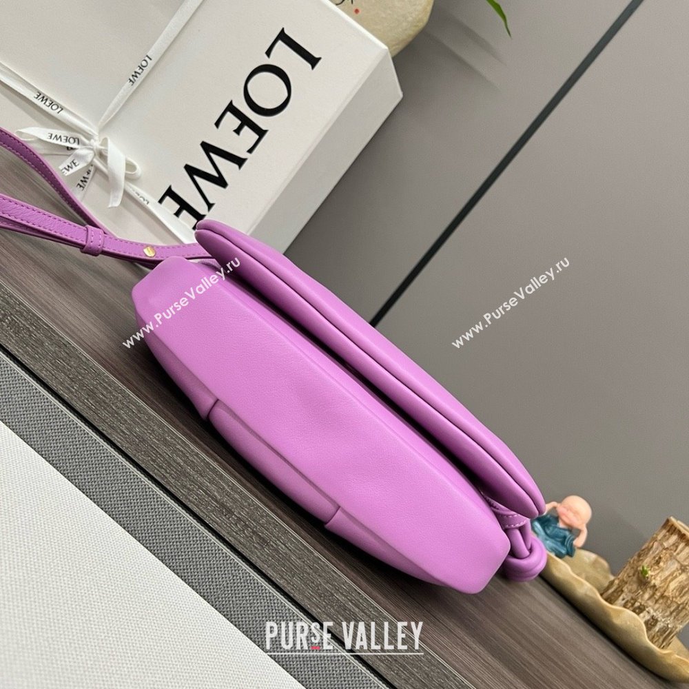 LOEWE Paseo satchel in shiny nappa calfskin pink 2024 (yongsheng-240329-03)