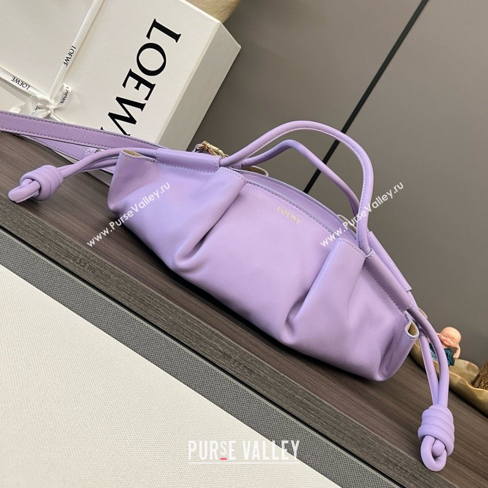 LOEWE Small Paseo bag in shiny nappa calfskin purple 2024 (yongsheng-240329-08)