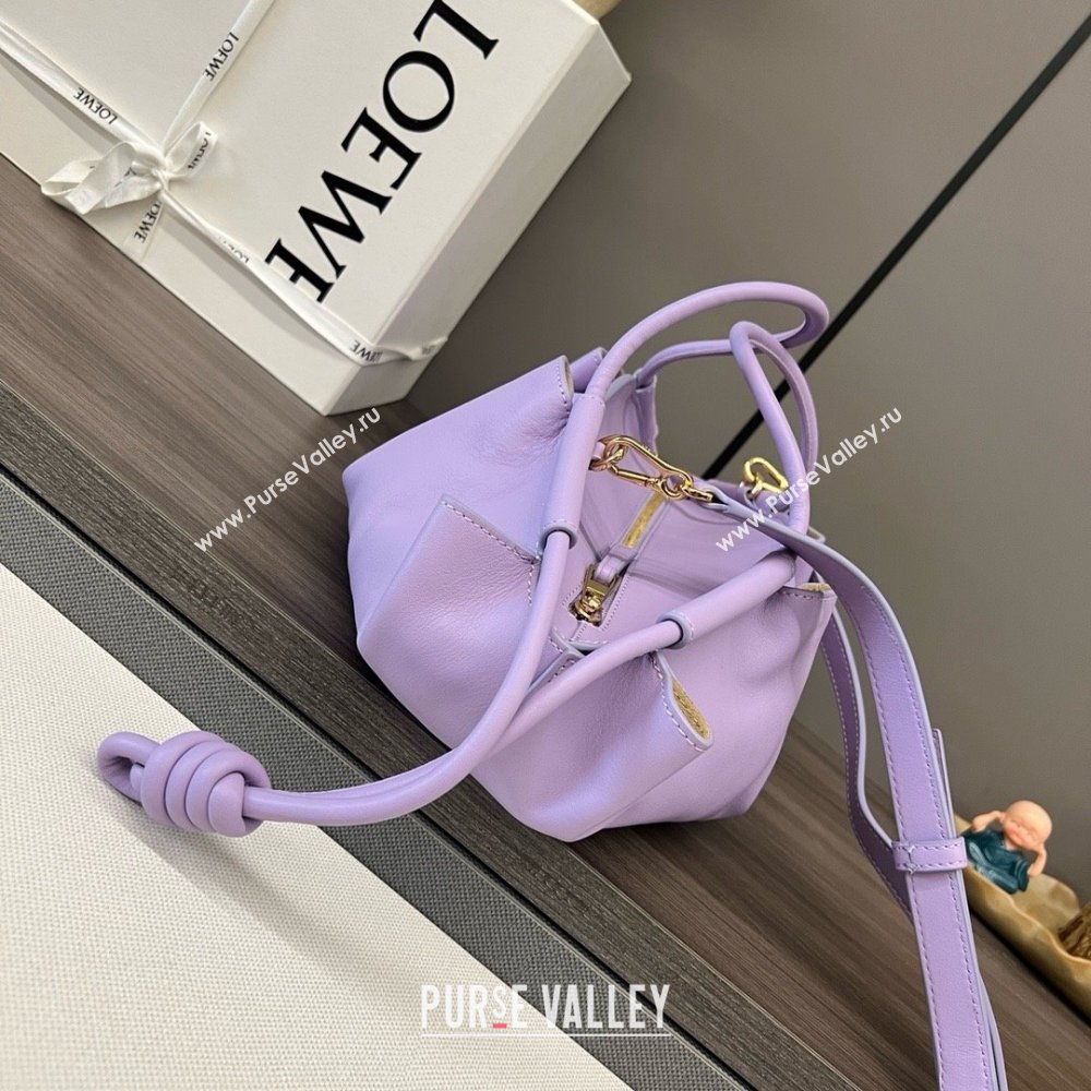 LOEWE Small Paseo bag in shiny nappa calfskin purple 2024 (yongsheng-240329-08)