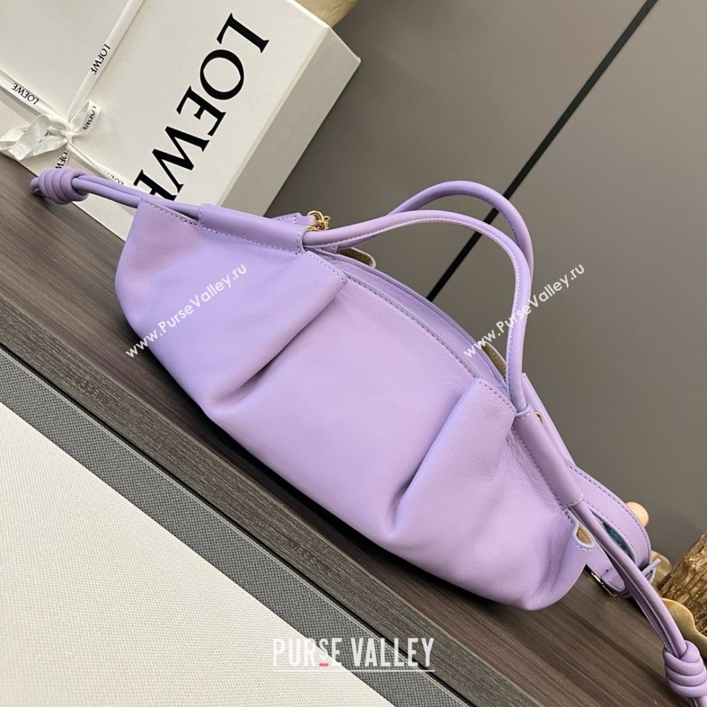 LOEWE Small Paseo bag in shiny nappa calfskin purple 2024 (yongsheng-240329-08)